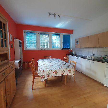 Zentral Gelegene Wohnung Mit Grossem Garten 因特拉肯 外观 照片