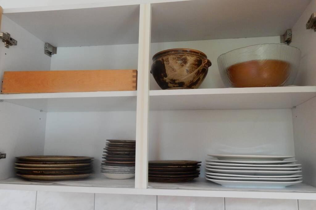 Zentral Gelegene Wohnung Mit Grossem Garten 因特拉肯 外观 照片