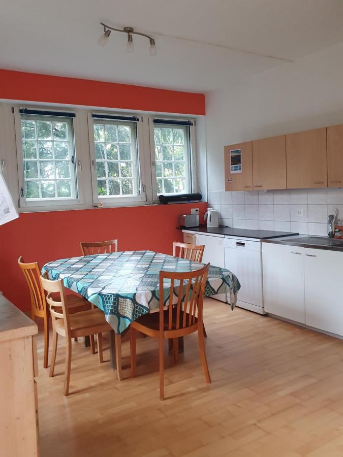 Zentral Gelegene Wohnung Mit Grossem Garten 因特拉肯 外观 照片