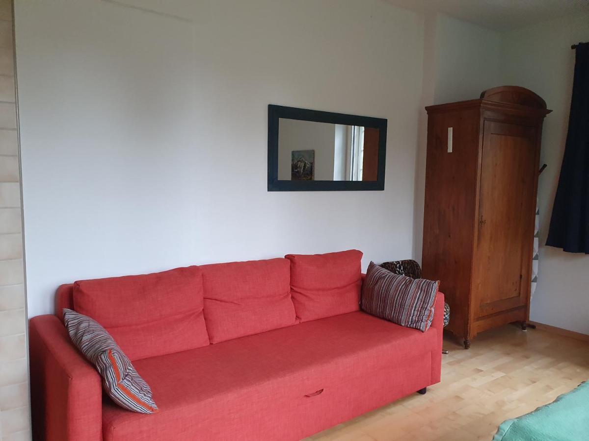 Zentral Gelegene Wohnung Mit Grossem Garten 因特拉肯 外观 照片