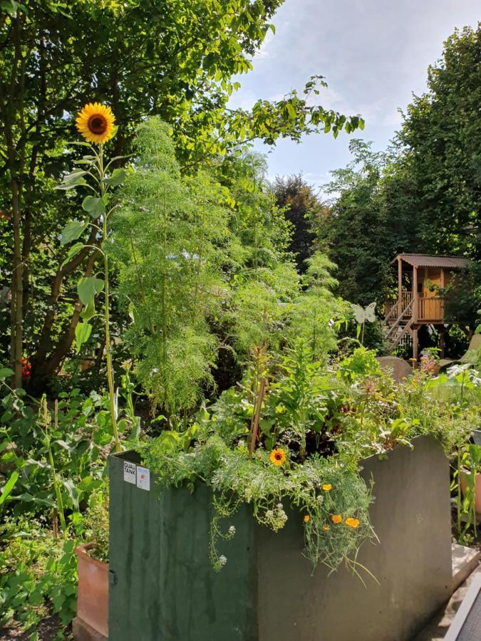 Zentral Gelegene Wohnung Mit Grossem Garten 因特拉肯 外观 照片