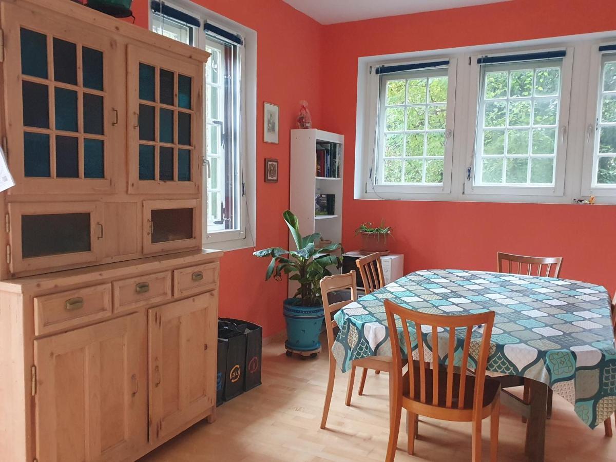 Zentral Gelegene Wohnung Mit Grossem Garten 因特拉肯 外观 照片